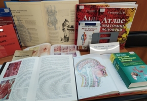 Выставка «Медицинская анатомическая иллюстрация»